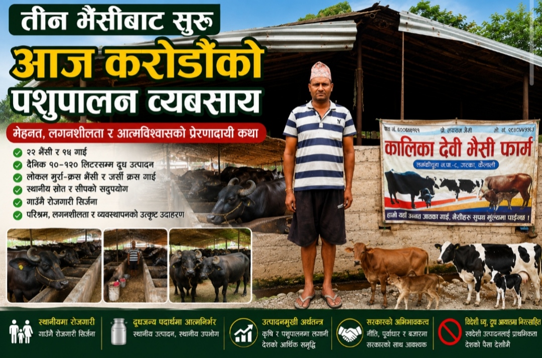 तीन भैँसीबाट सुरु भएको यात्रा : आज करोडभन्दा बढीको पशुपालन व्यवसाय